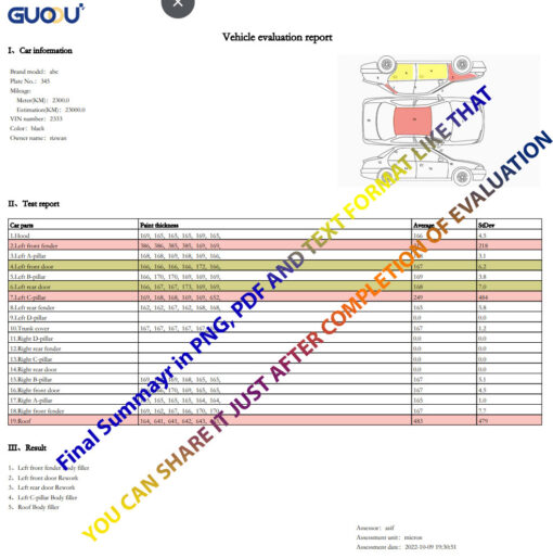 guoou-report 1